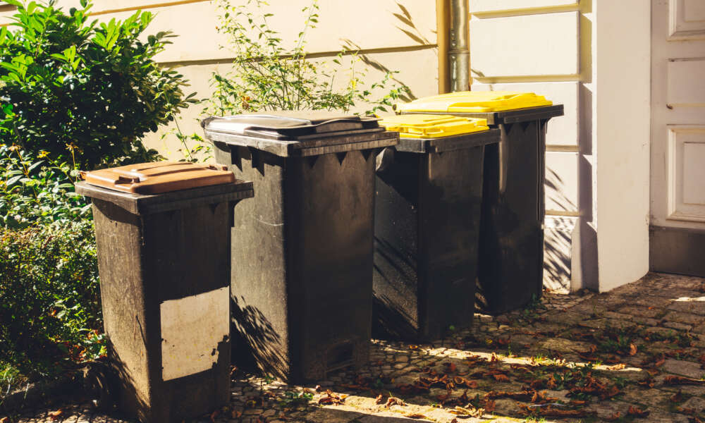 Mülltonnen